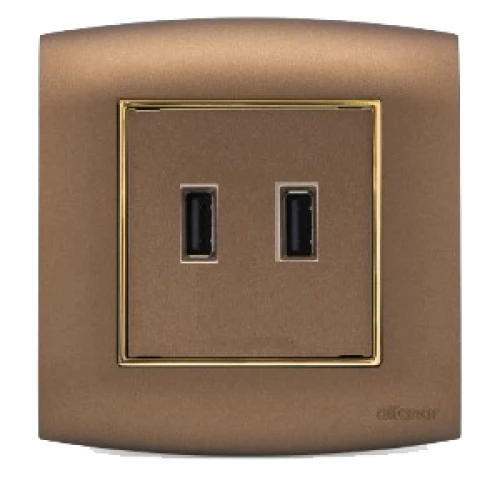 فيشة يو اس بي مزوج امنية الفنار نحاسي مع اطار ذهبي