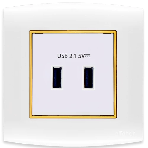 فيشة يو اس بي مزوج الفنار أبيض مع اطار ذهبي